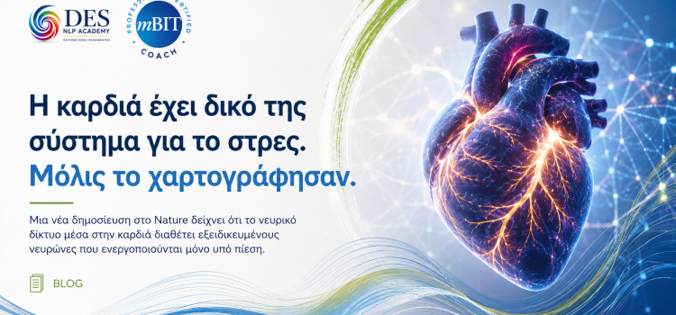 Η καρδιά έχει δικό της σύστημα για το στρες. Μόλις το χαρτογράφησαν. Η καρδιά έχει δικό της σύστημα για το στρες. Μόλις το χαρτογράφησαν.